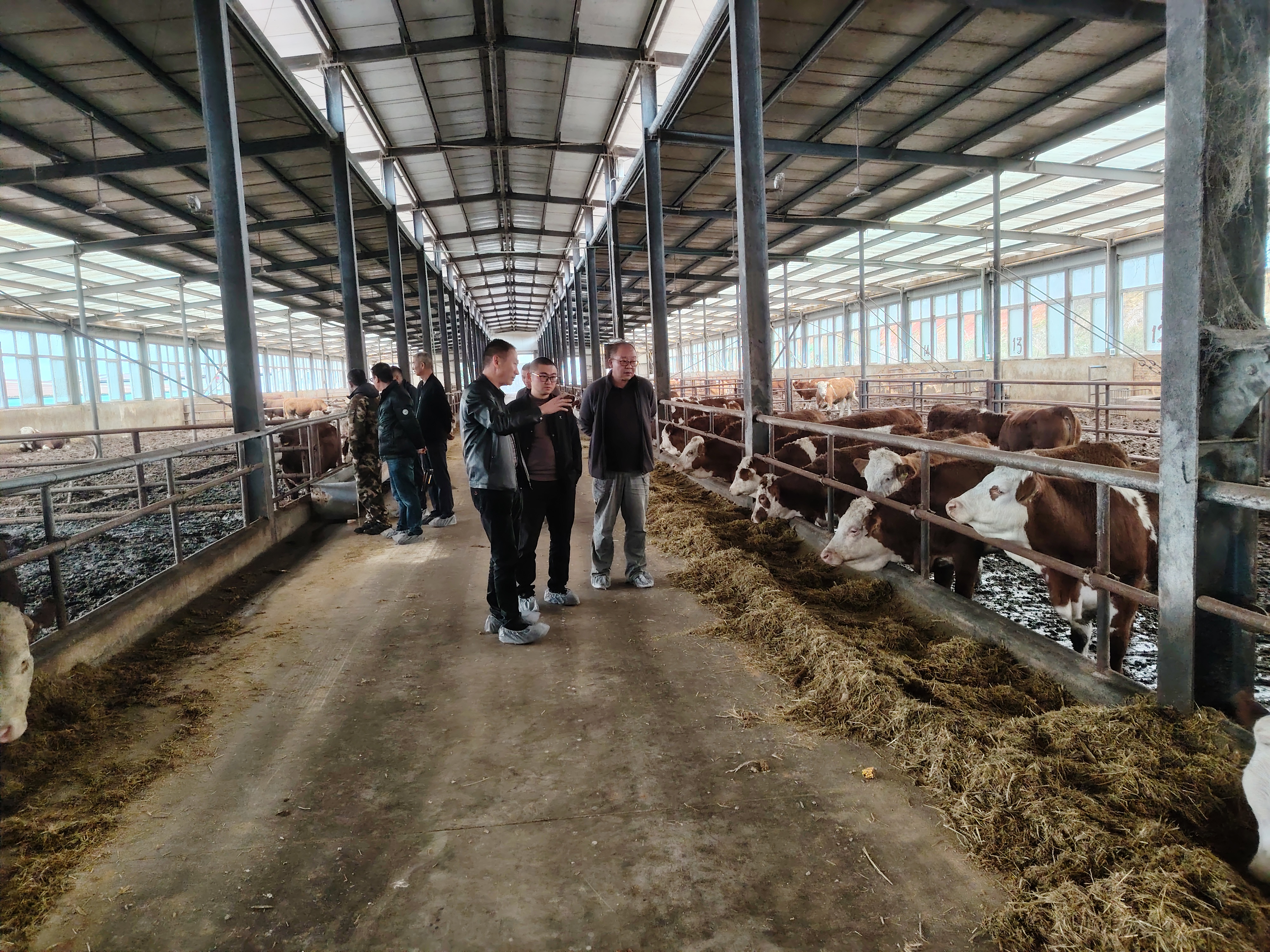 调研现场（五）