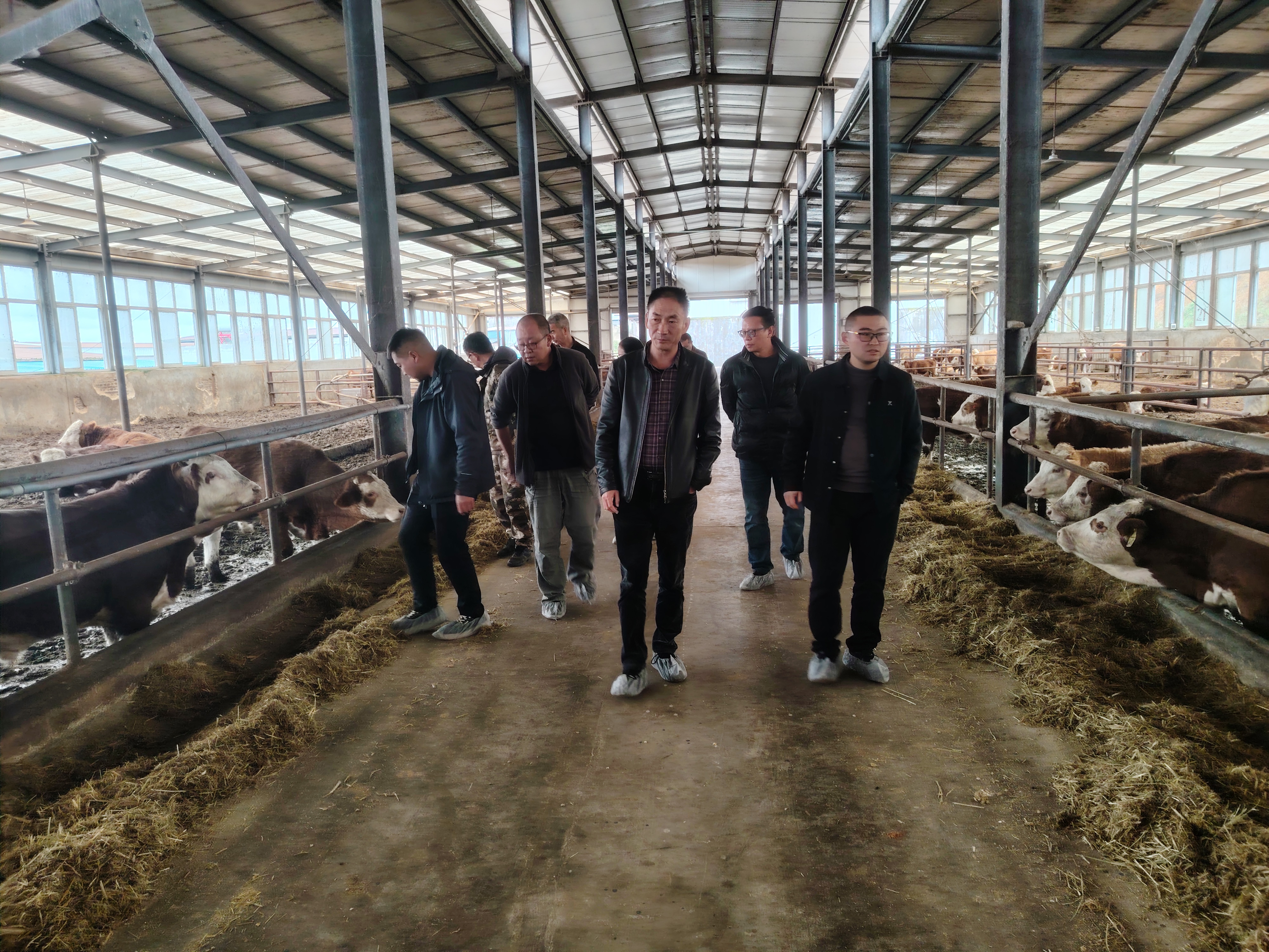 调研现场（四）