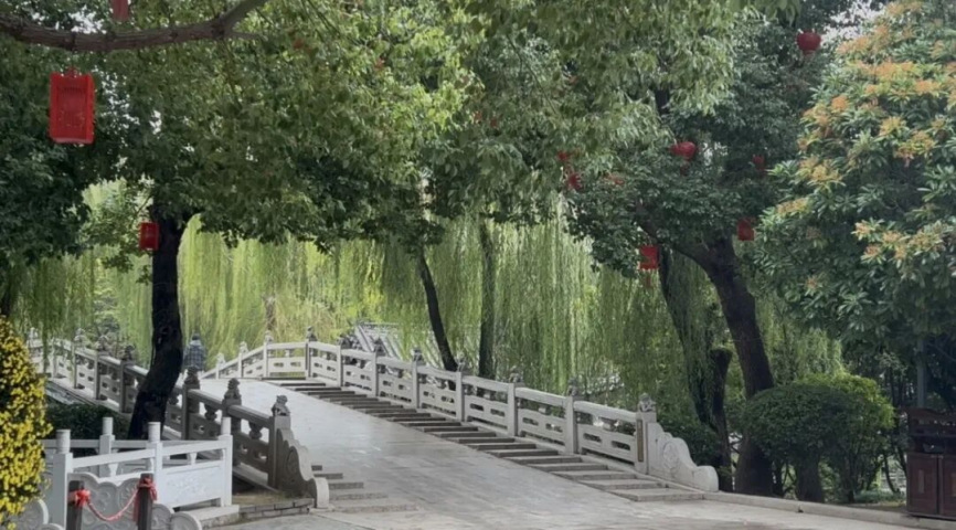 1fb043851051dce32d0e6570d20bd640 1fb043851051dce32d0e6570d20bd640