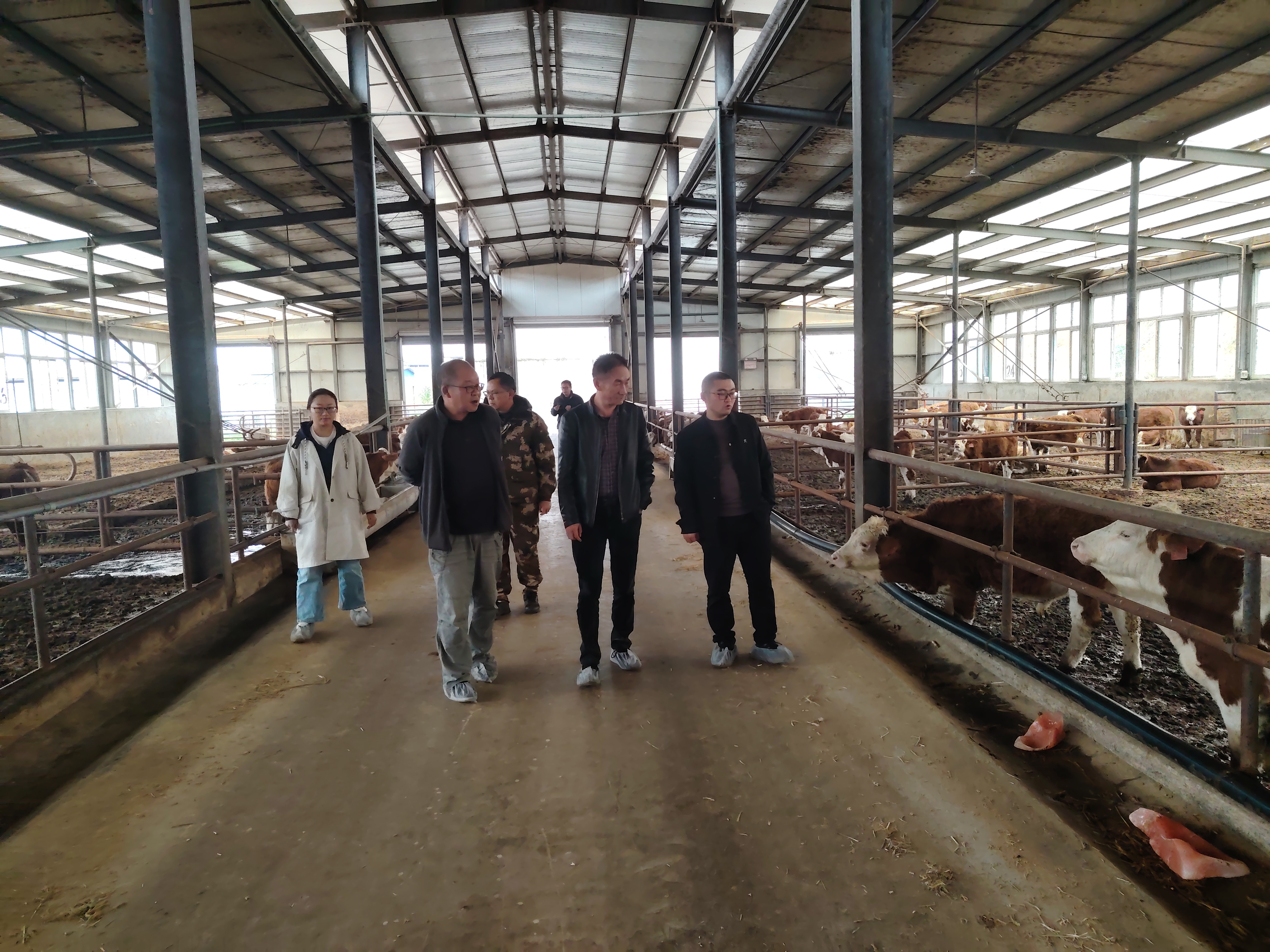 调研现场（二）