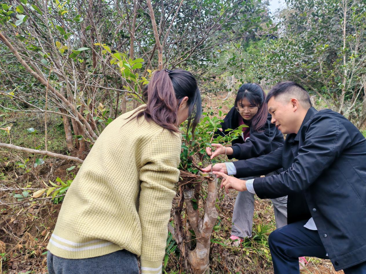 李荣喜老师指导油茶栽培