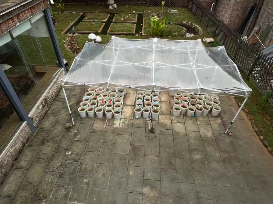 ba8c-18882bbc834bae582dac874f6d11bf1c