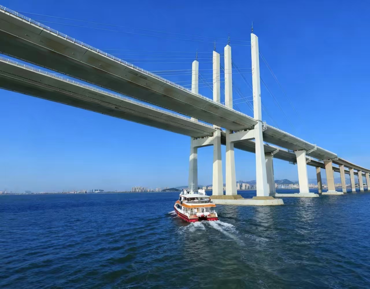 微信图片_2025-11-22_232200_512 微信图片_2025-11-22_232200_512