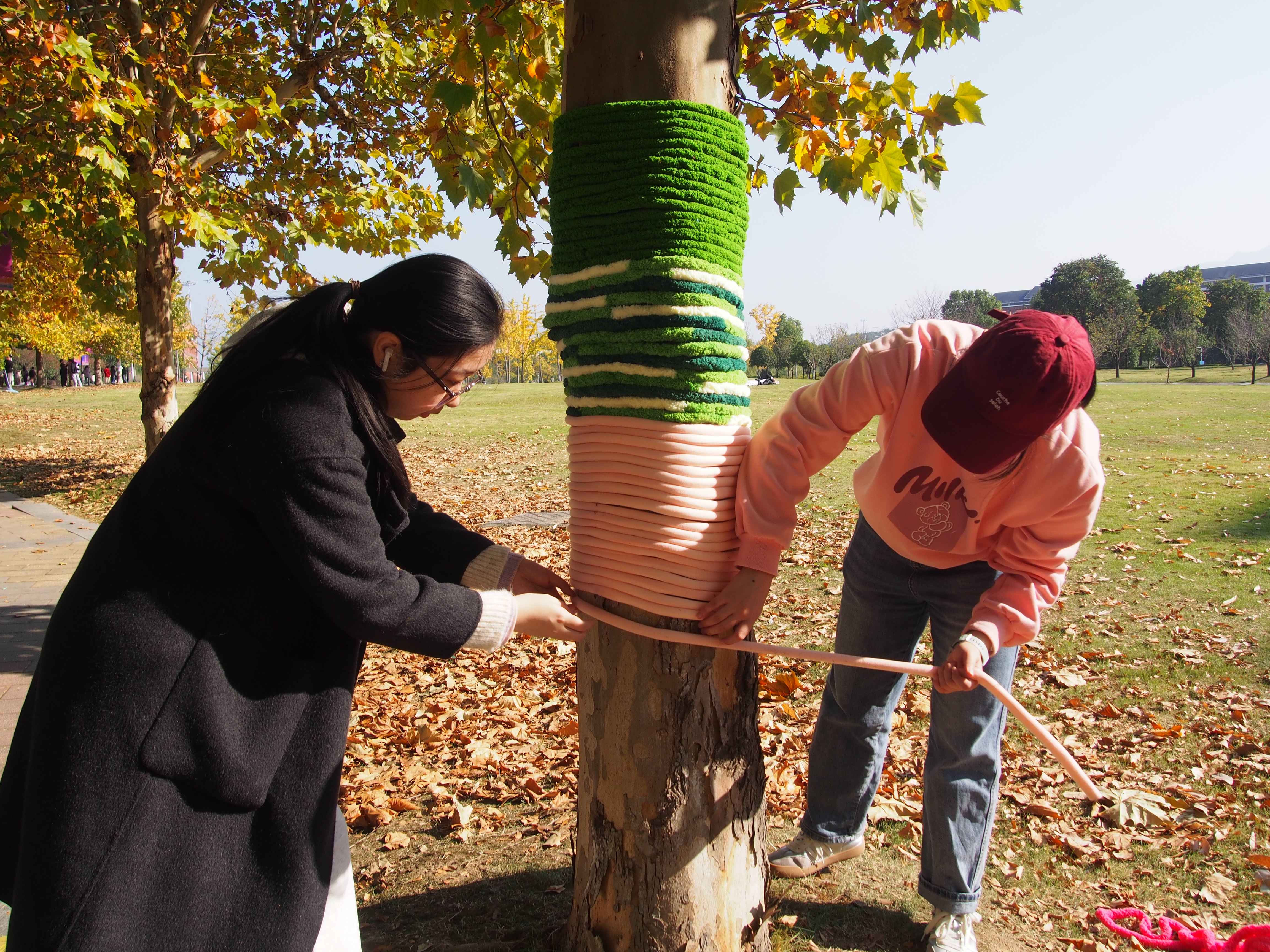 同学们为大树穿上小棉袄