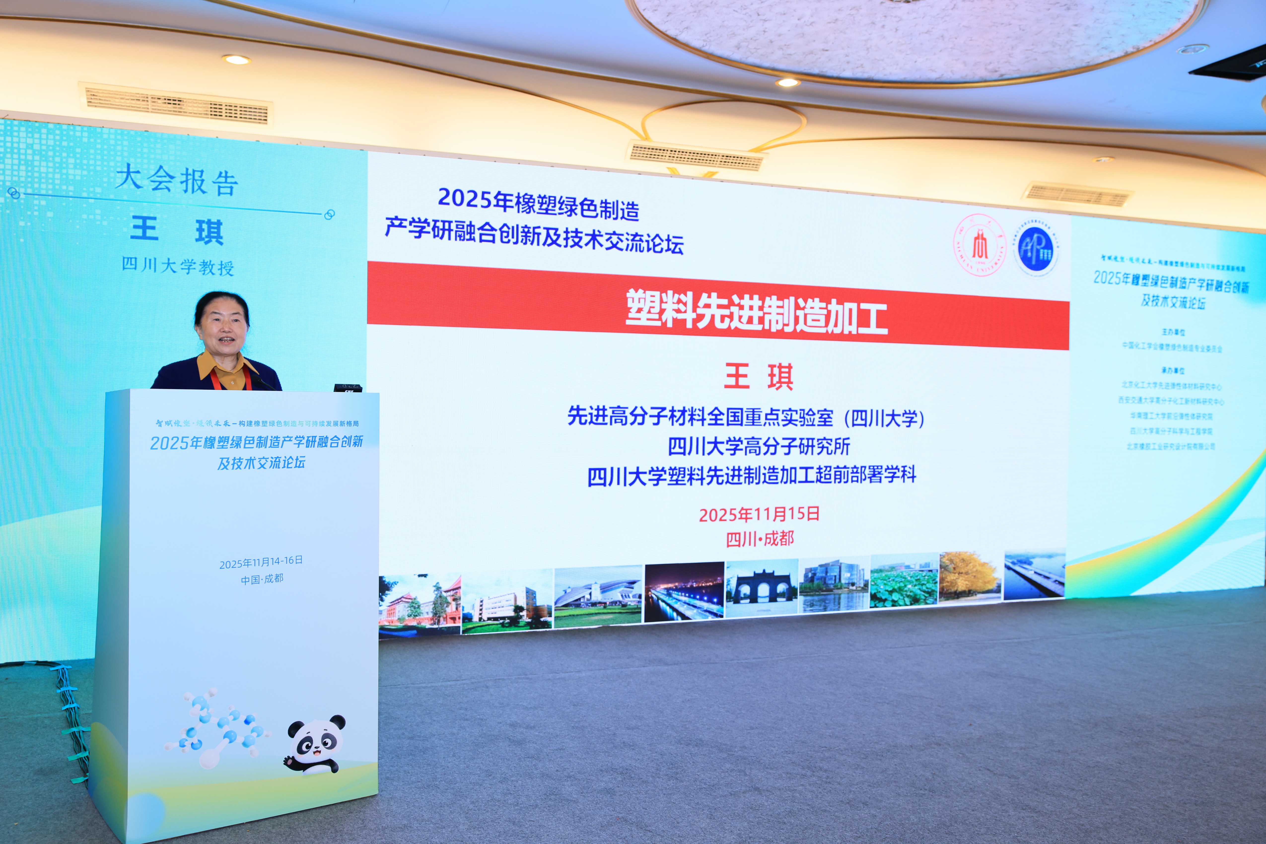 王琪院士作报告