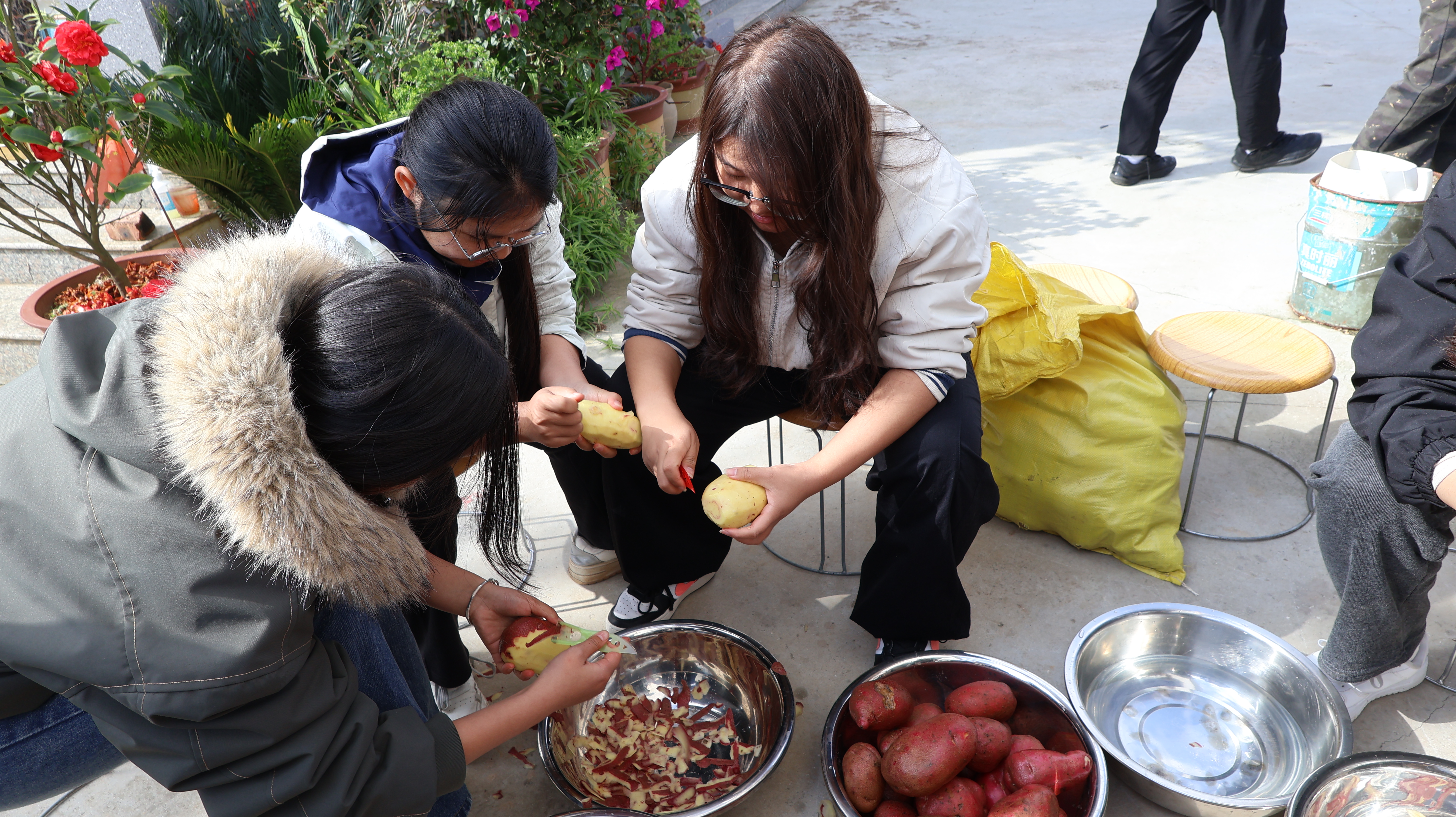 微信图片_20251127111900_26_39 微信图片_20251127111900_26_39