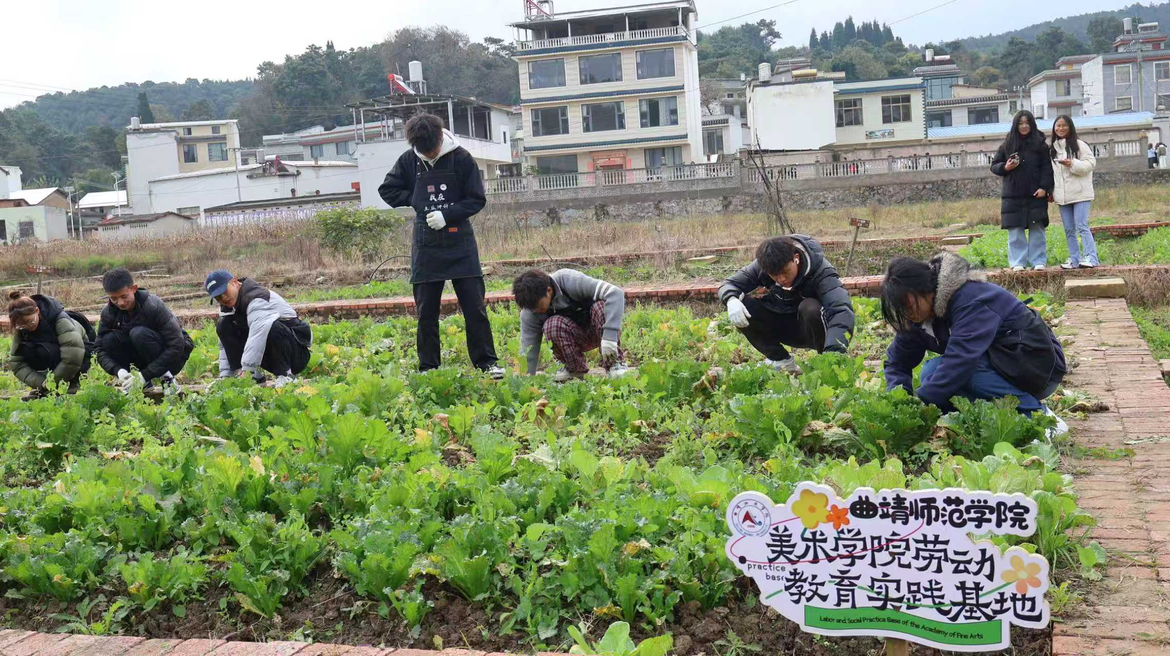 微信图片_20251127111901_27_39 微信图片_20251127111901_27_39