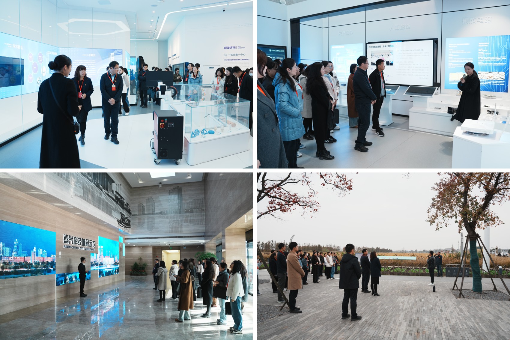 微信图片_20251128174339_693_25