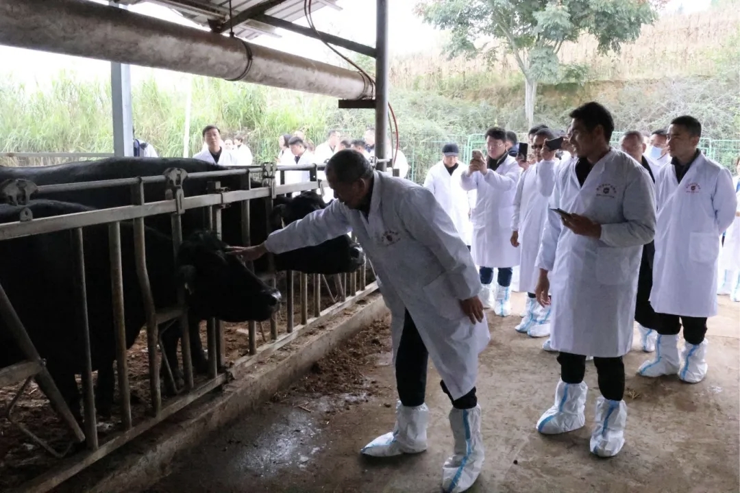 调研现场（一）