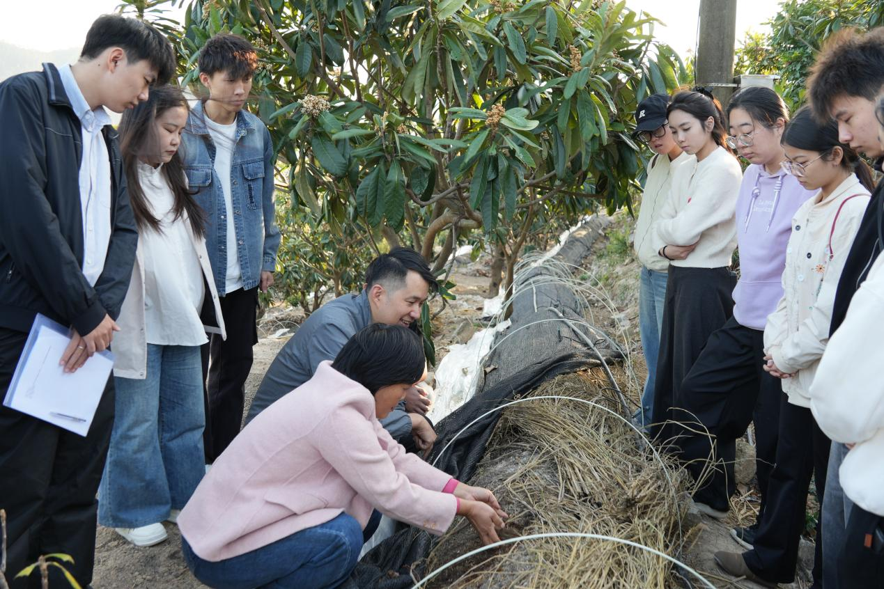 图为技术人员谢剑平在介绍红松茸菌种