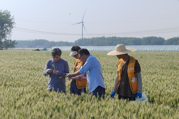 党员带领学生指导病虫害防治 党员带领学生指导病虫害防治