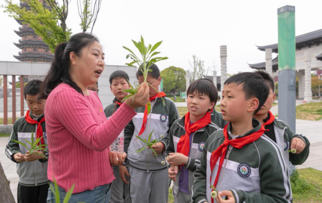 党支部书记宋微教授为小学生科普入侵物种防治 党支部书记宋微教授为小学生科普入侵物种防治