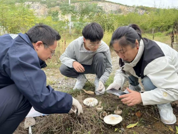 党支部书记率队开展野外生物调查 党支部书记率队开展野外生物调查