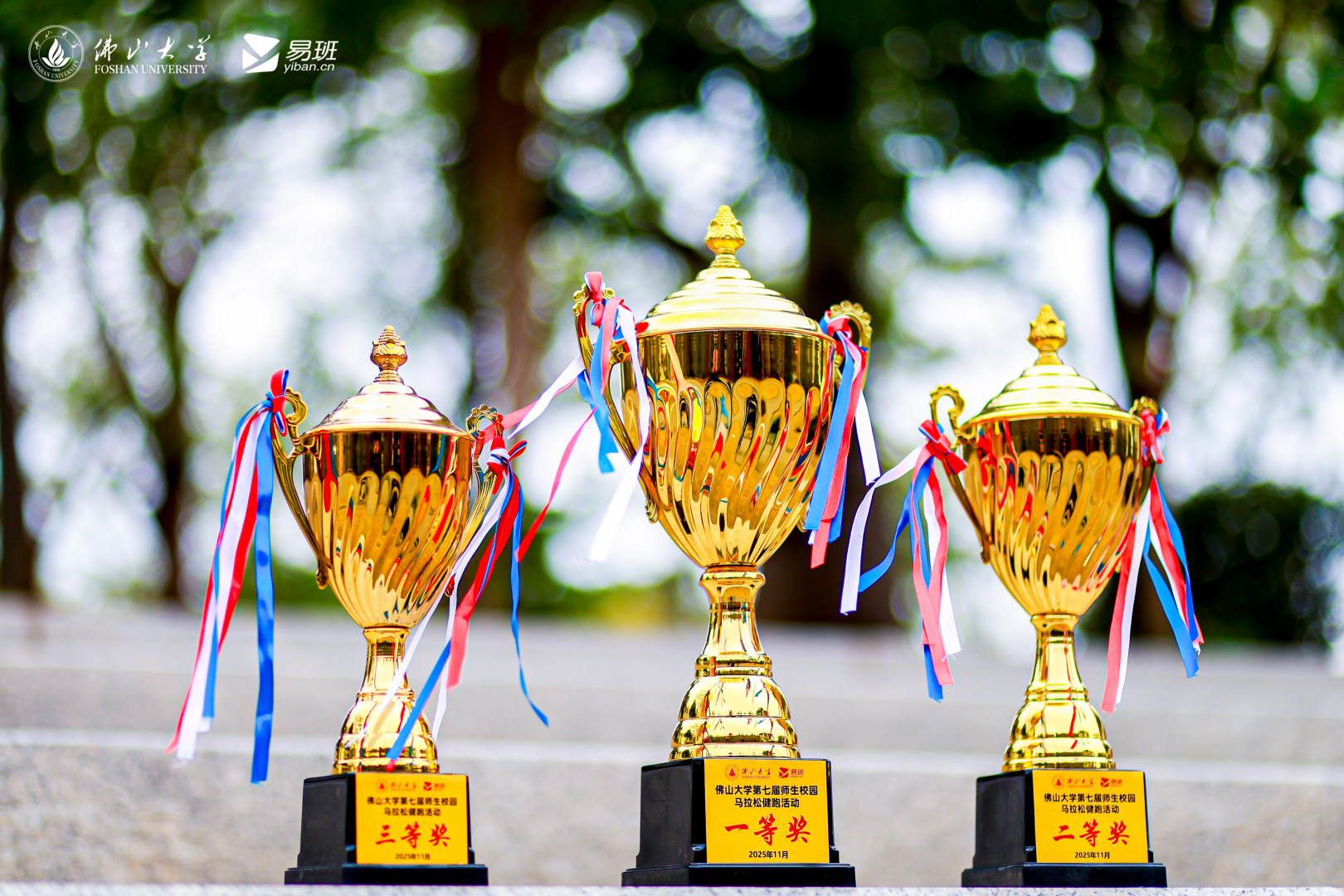 AS000031-opq4133573933