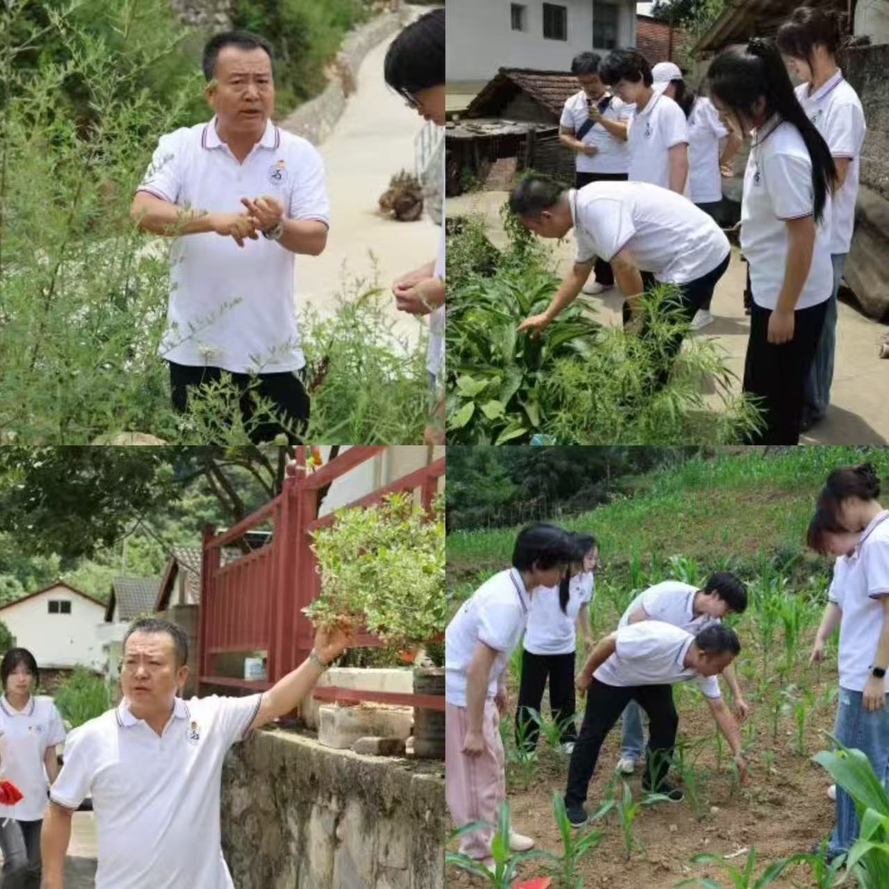 a077c34f717373e79cdefc53af5a529a