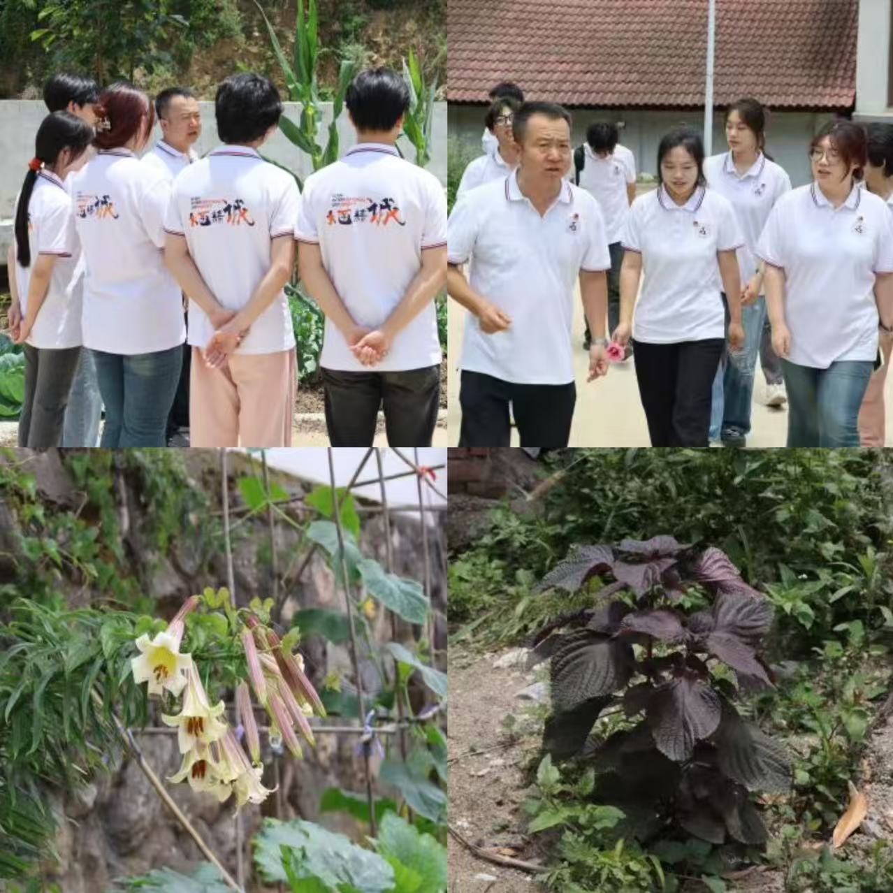 fa344b6f5d59e56c8552832ea52486f0