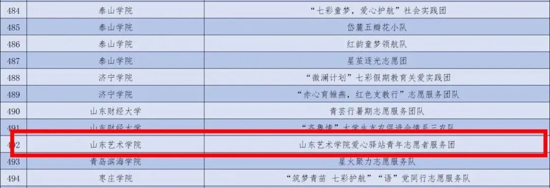 2025年关爱行动“七彩假期”志愿服务团队入选名单