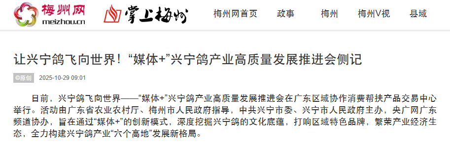 广财“强国行”团队师生设计“兴宁鸽IP”正式发布，以文化赋能助力乡村振兴（图片18）