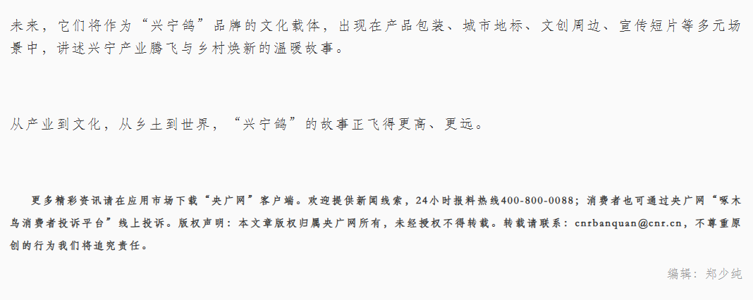 广财“强国行”团队师生设计“兴宁鸽IP”正式发布，以文化赋能助力乡村振兴（图片13）