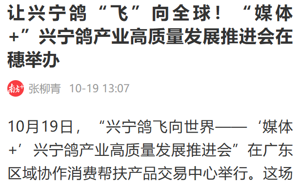 广财“强国行”团队师生设计“兴宁鸽IP”正式发布，以文化赋能助力乡村振兴（图片14）