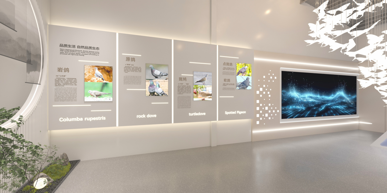 广财“强国行”团队师生设计“兴宁鸽IP”正式发布，以文化赋能助力乡村振兴（图片9）