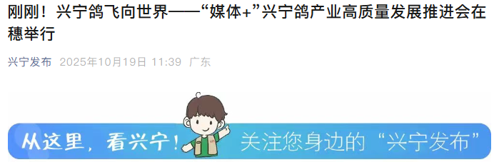 广财“强国行”团队师生设计“兴宁鸽IP”正式发布，以文化赋能助力乡村振兴（图片20）