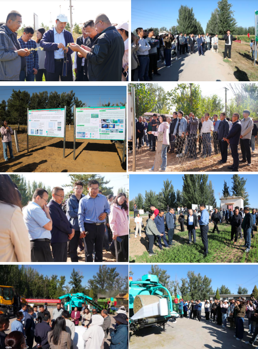 ScreenShot_2025-12-10_093013_079