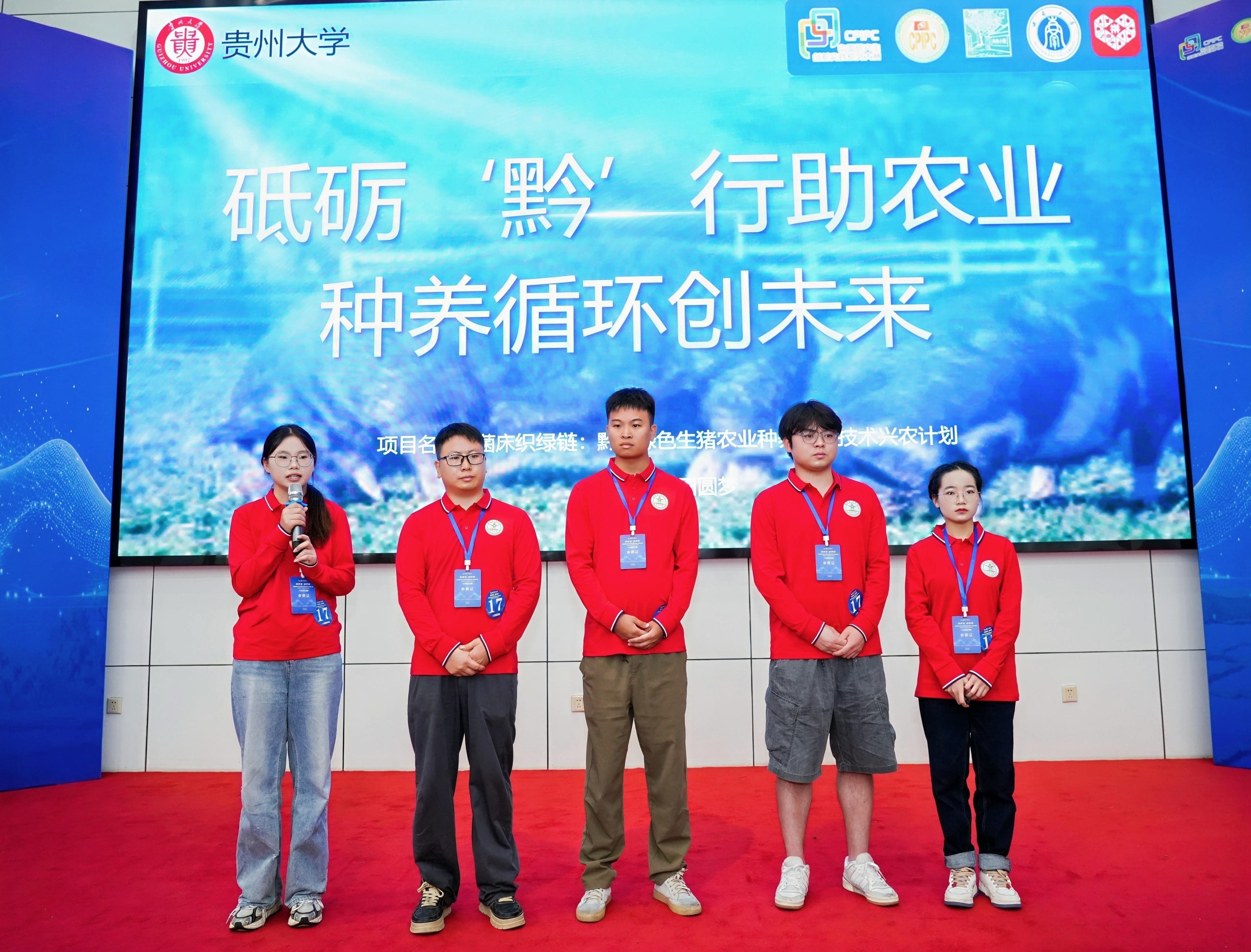 418323_8c610c7e-7857-4310-a473-f3af46596a0ecopy