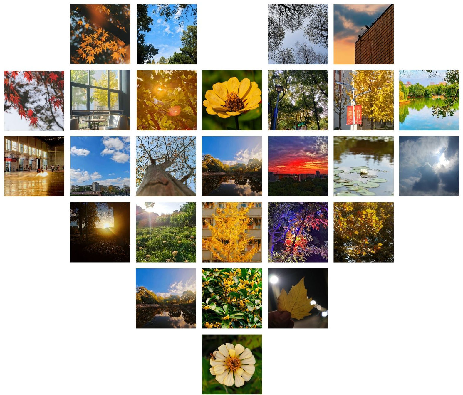 灰白色简约照片店铺宣传横版拼图