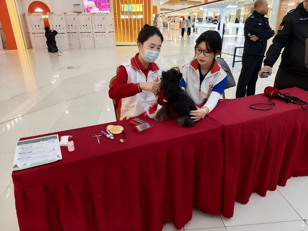 微信图片_2025-12-20_113517_271