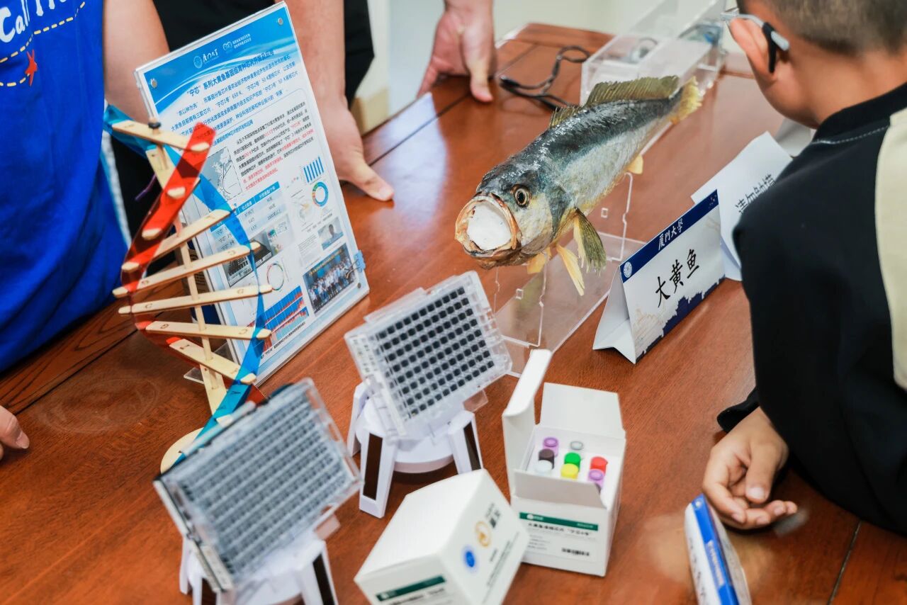 微信图片_2025-12-23_164628_558