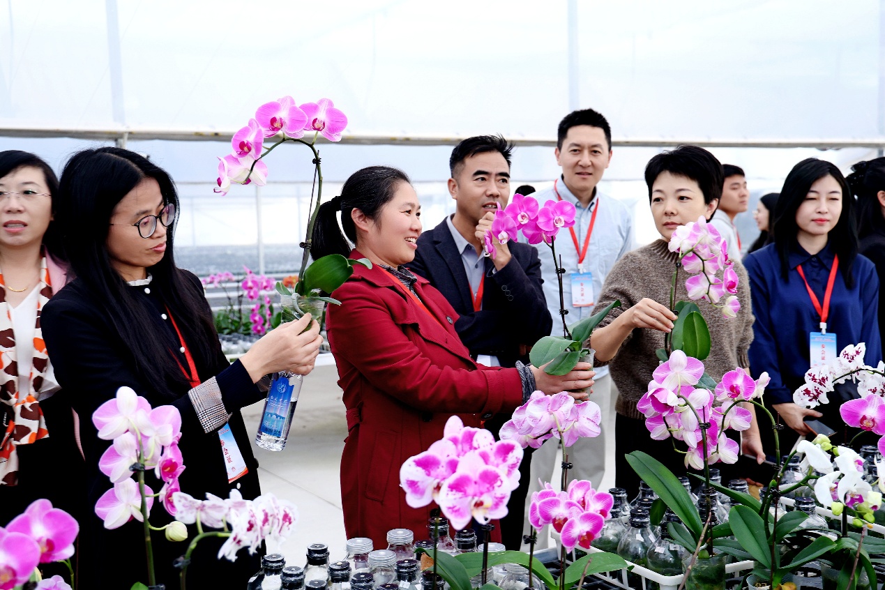 一群粉色的花AI 生成的内容可能不正确。