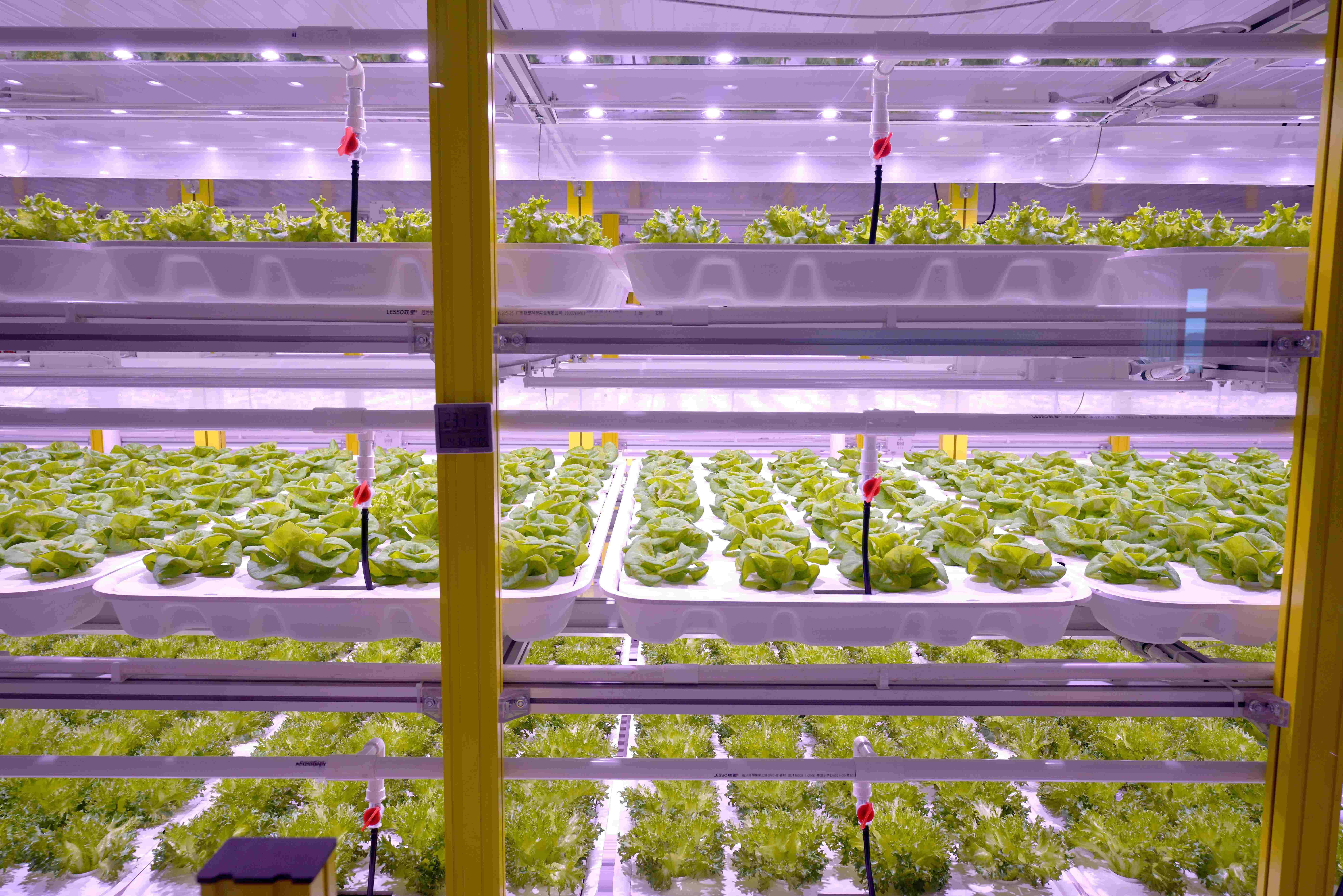 一体化无人化植物工厂