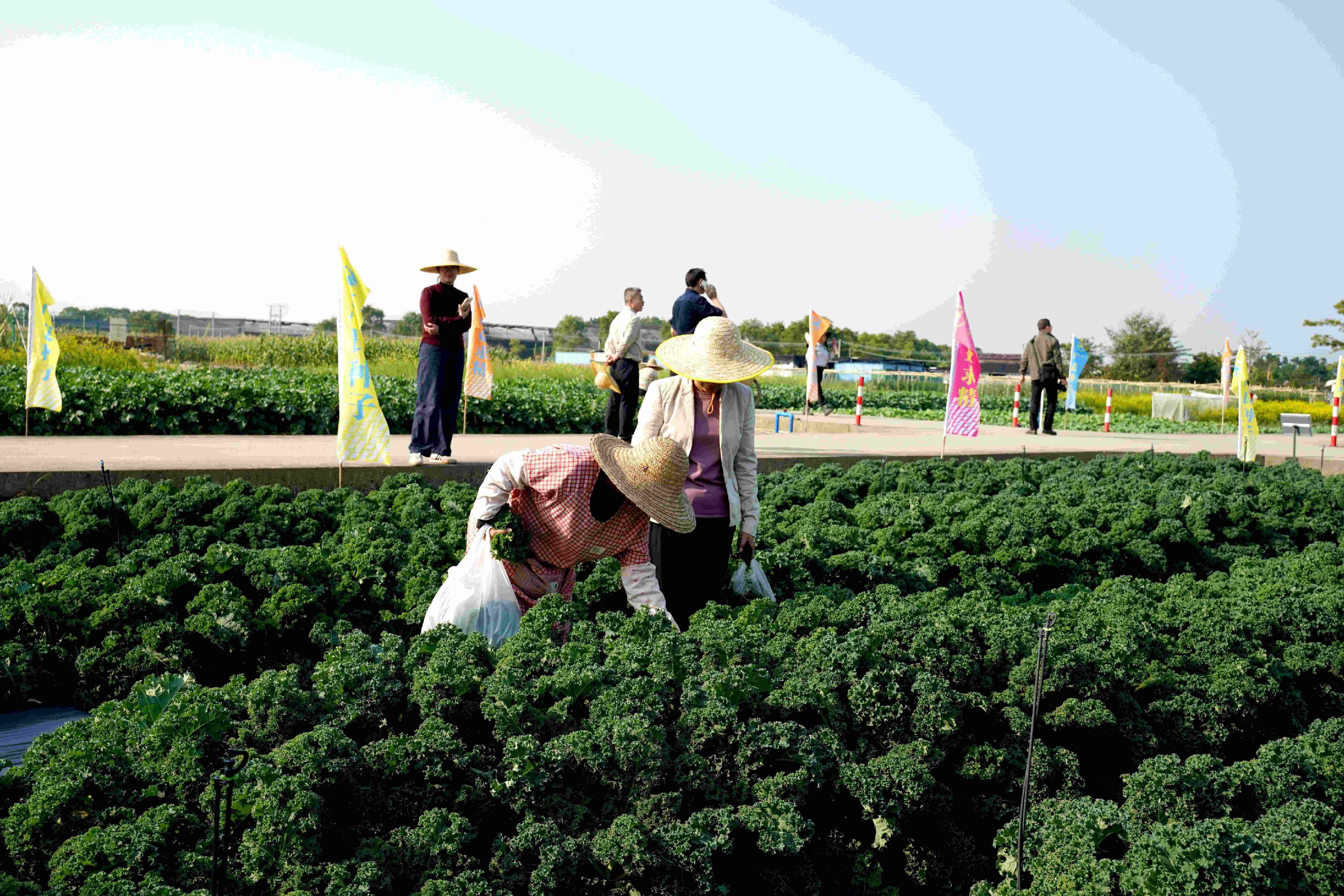 调研期间与基地农户田间交流