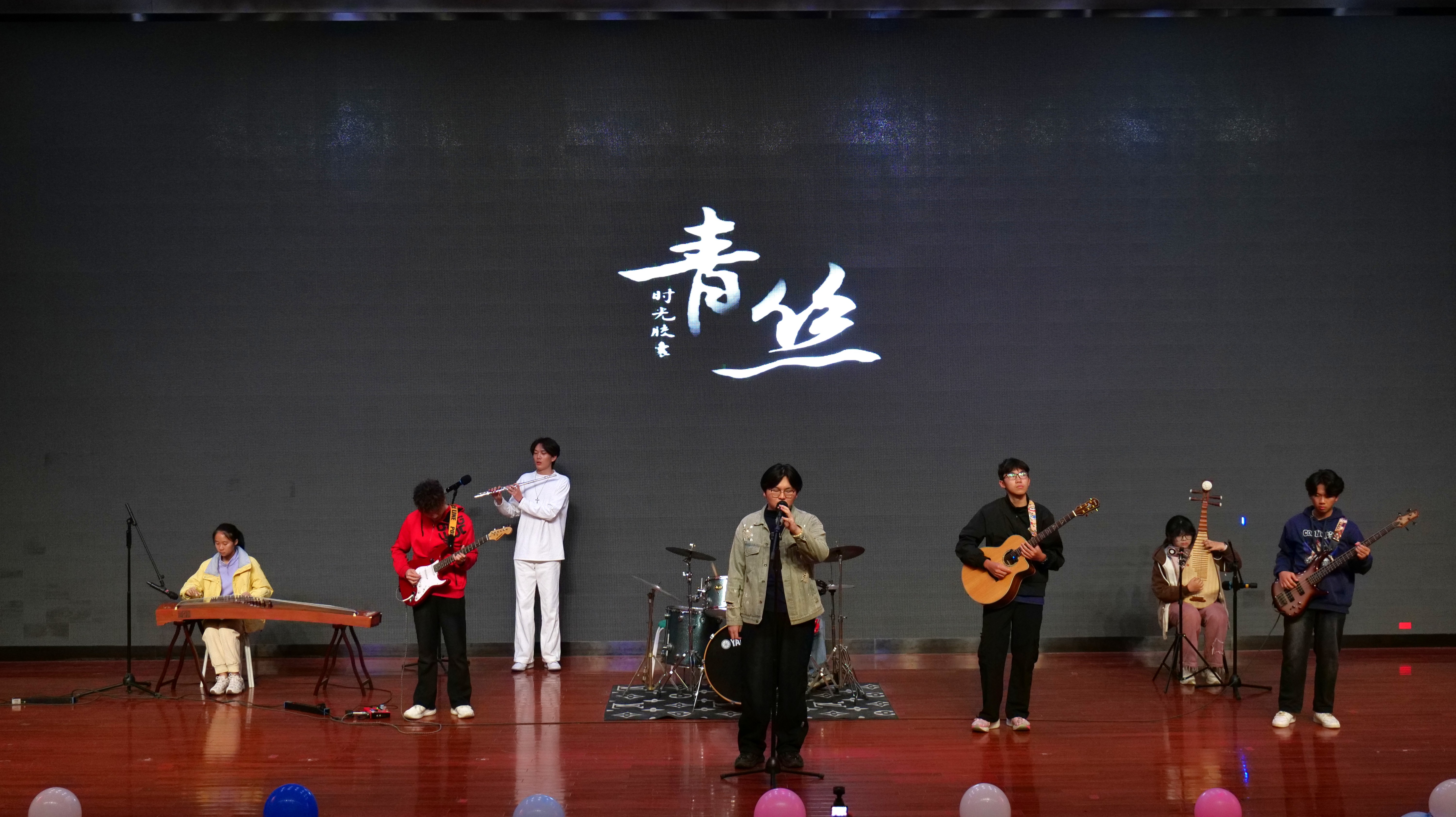乐器表演《青丝》