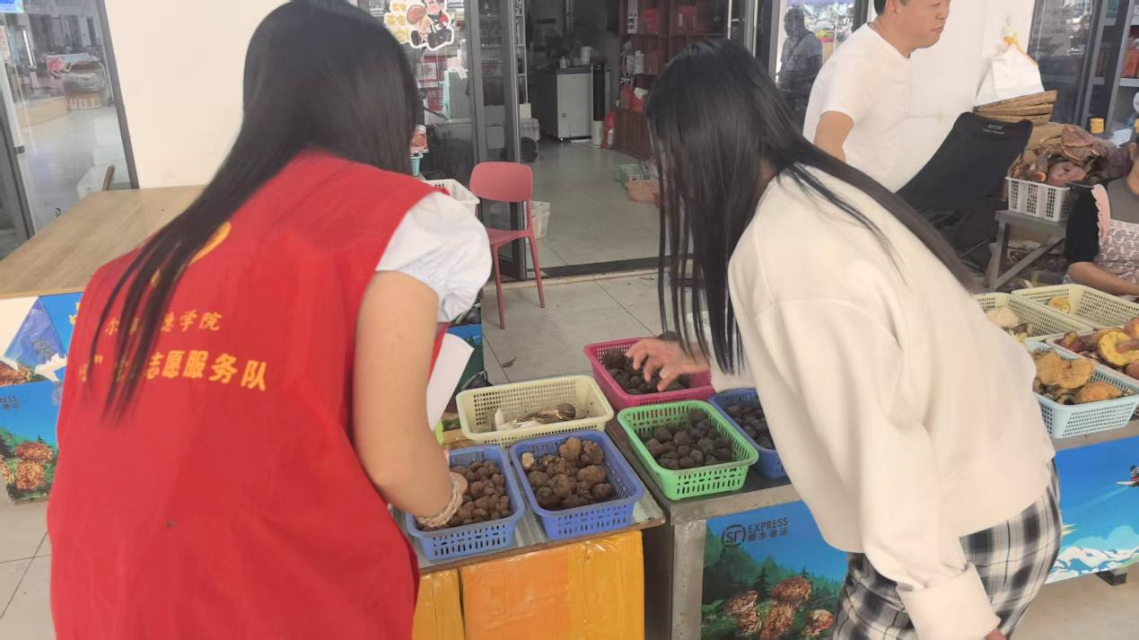 8b5a669e8ac1b4331fbd9463ed4a53f6