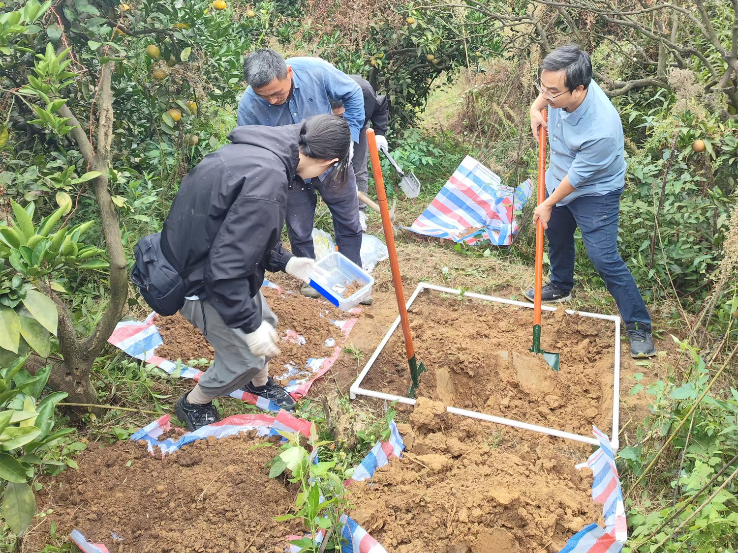 b9c121a0f6ee47068a0cd9ea01a43e66