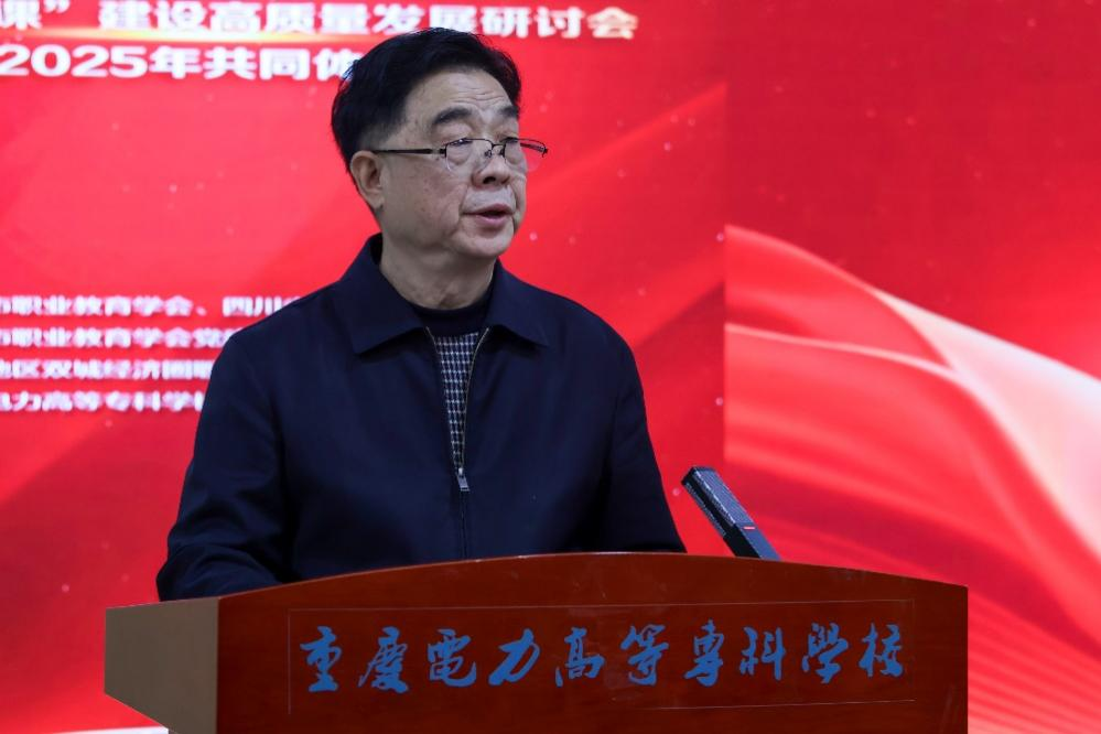 国家督学、重庆市职业教育学会会长张荣讲话666