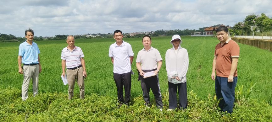 5175a266b2daae9a014789835e61e73c