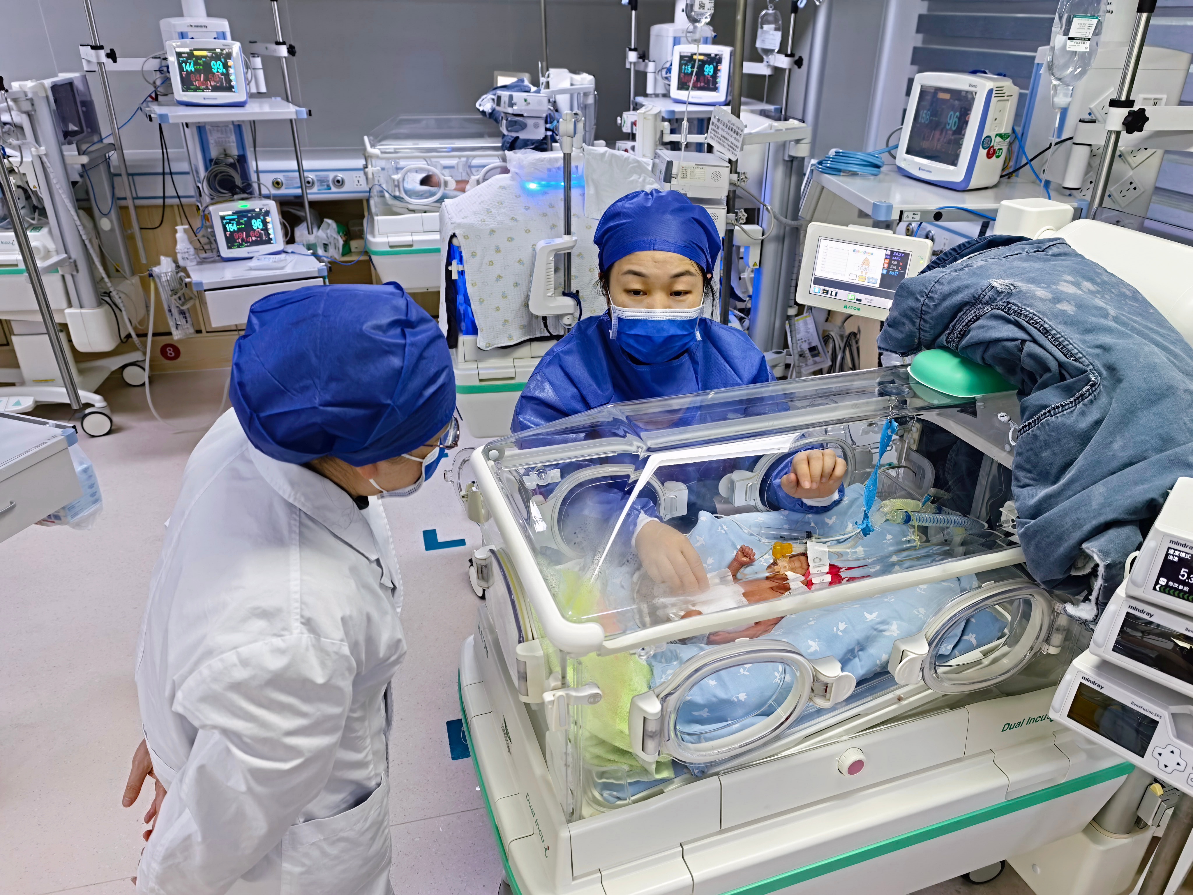 高宗燕查房 高宗燕查房