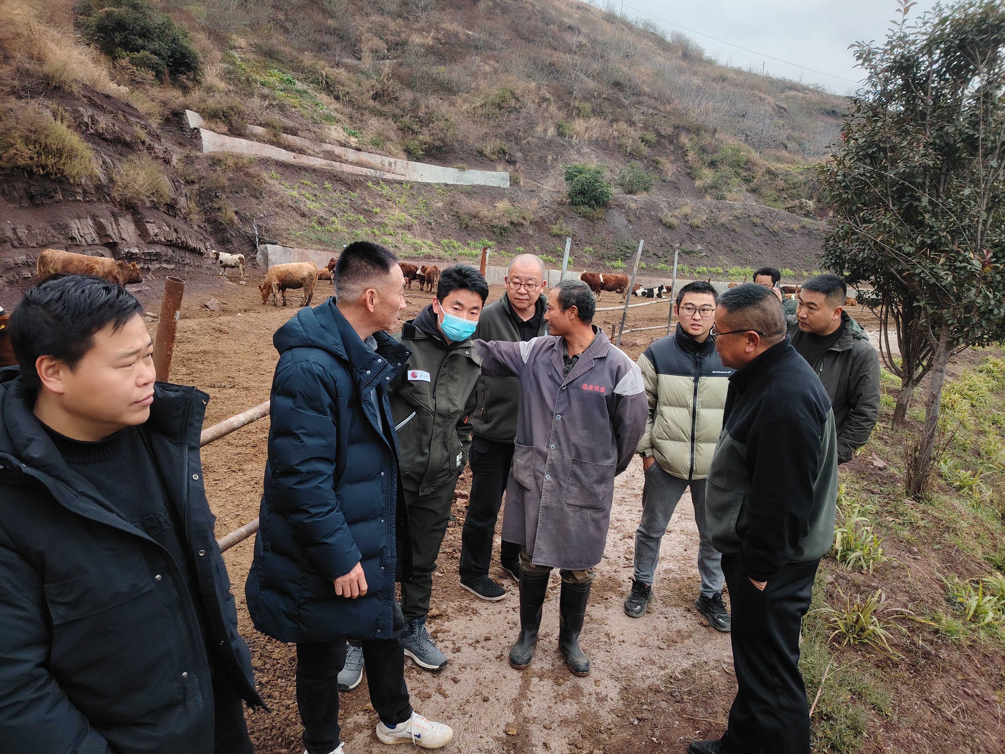 现场调研（三）