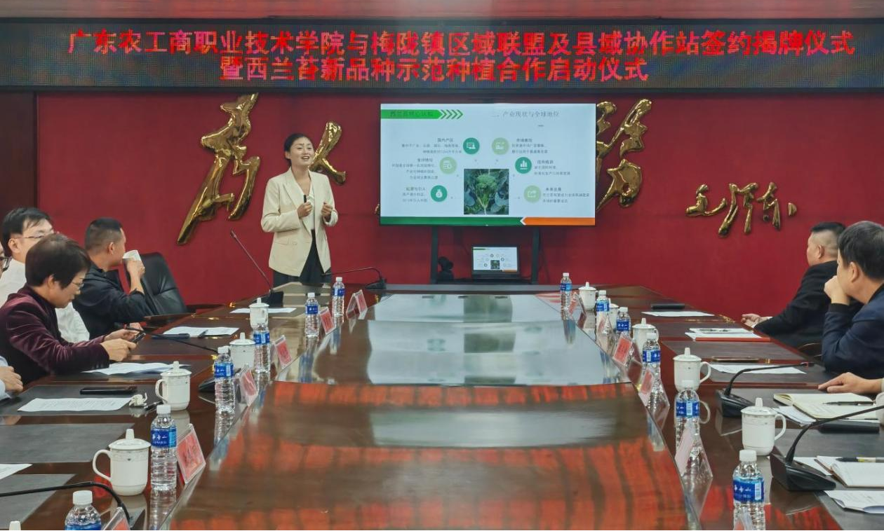 西兰苔种植技术讲座现场