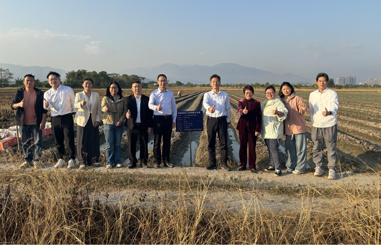 我校专家团队与高中村帮扶干部于西兰苔种植示范田合影