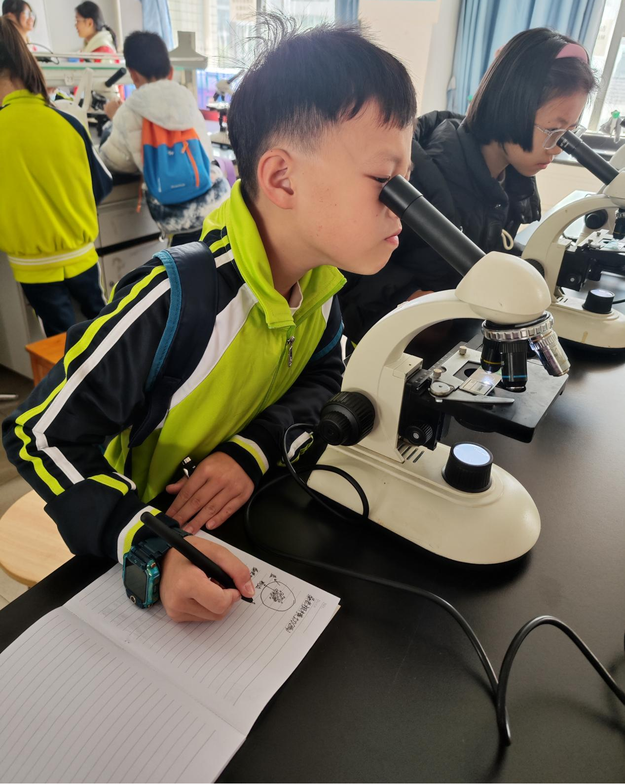 图5 小学生观察显微镜并画下植物细胞 图5 小学生观察显微镜并画下植物细胞