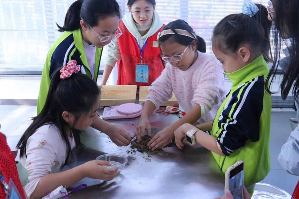 图6 小学生手作驱蚊香丸 图6 小学生手作驱蚊香丸