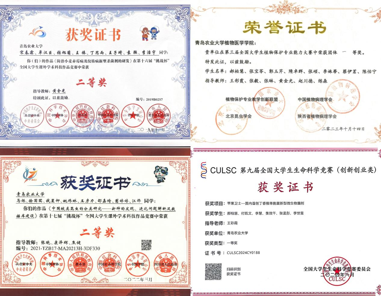 党支部成员部分获奖证书