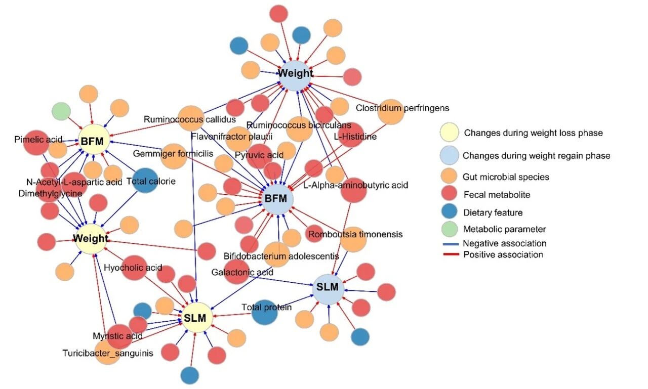 微信图片_2026-01-07_082410_539 微信图片_2026-01-07_082410_539