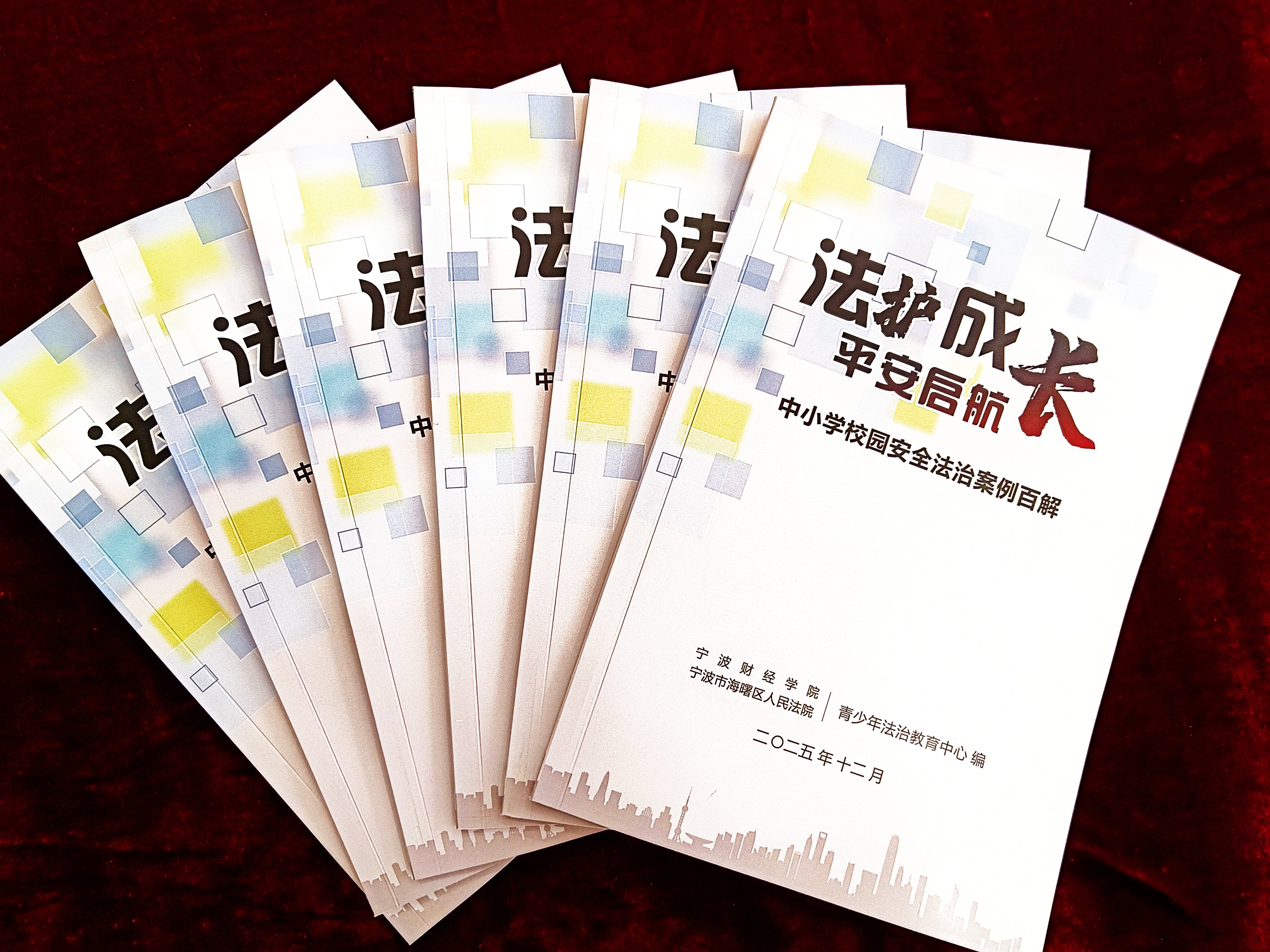 《法护成长,平安启航:中小学校园安全法治案例百解》 《法护成长,平安启航:中小学校园安全法治案例百解》