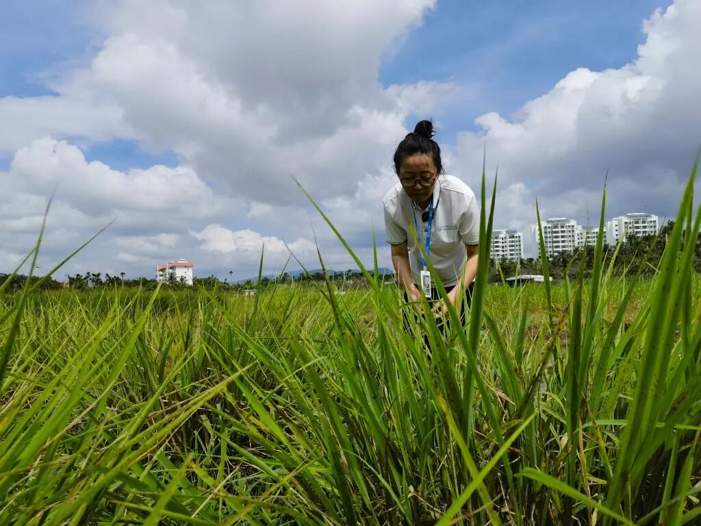 微信图片_2026-01-09_163719_592 微信图片_2026-01-09_163719_592