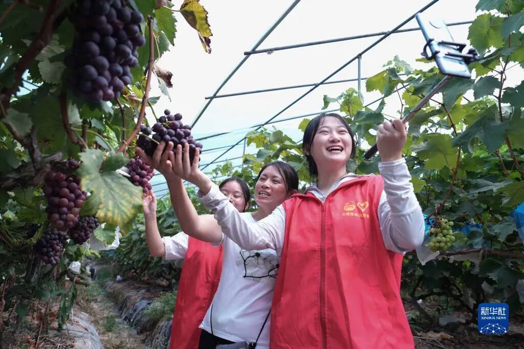 微信图片_2026-01-09_163738_630 微信图片_2026-01-09_163738_630